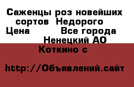 Саженцы роз новейших сортов. Недорого. › Цена ­ 350 - Все города  »    . Ненецкий АО,Коткино с.